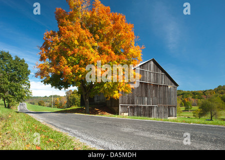 HERBST LAUB COUNTRY ROAD INDIANA COUNTY PENNSYLVANIA USA Stockfoto