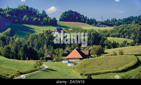 Feld, Agrarland, agrarischen Landschaft, Bauernhaus, Bauernhof, Feld, Haus, Haus, Hof, Emmental, Hof, Hofholz, Kanton Bern, Ber Stockfoto