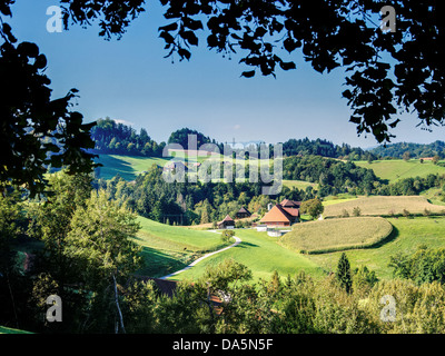 Feld, Agrarland, agrarischen Landschaft, Bauernhaus, Bauernhof, Feld, Haus, Haus, Hof, Emmental, Hof, Hofholz, Kanton Bern, Ber Stockfoto