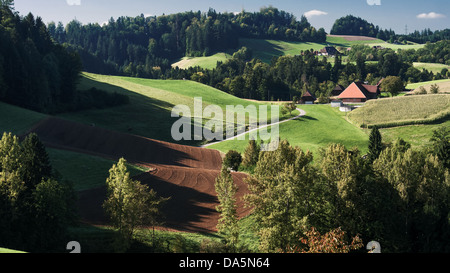 Feld, Agrarland, agrarischen Landschaft, Bauernhaus, Bauernhof, Feld, Haus, Haus, Hof, Emmental, Hof, Hofholz, Kanton Bern, Ber Stockfoto