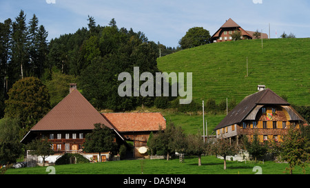 Apfelbaum, Bauernhaus, Bauernhof, Bauernhof Holz Berghügel, Dach, Haus, Haus, Chalet, Emmental, Hof, Hof, Hofstatt, Hill, Kanton Stockfoto