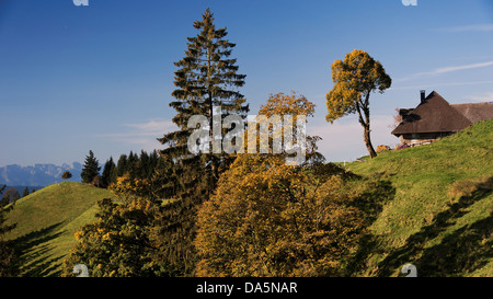 Bauernhaus, Bauernhof, Dach, Haus, Haus, Hof, Hof, Emmental, Hügellandschaft, Kanton Bern, Bern, Landschaft, Langnau, Lüderenalp, obere Stockfoto