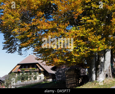 Bauernhaus, Bauernhof, Blappach, Emmental, Haus, Haus, Hof, Hof, Holzhaus, Kanton Bern, Bern, Schweiz, Europa, Trubschache Stockfoto