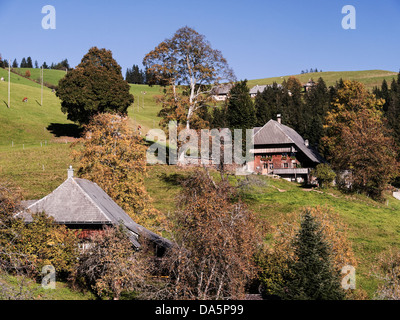 Bauernhaus, Bauernhof, Blappach, Chäserenegg, Eggiwil, Emmental, Haus, Haus, Hof, Hof, Hülli, Kanton Bern, Bern, Landschaft, Großbrit Stockfoto