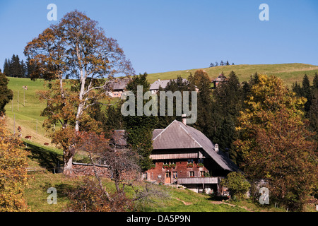 Bauernhaus, Bauernhof, Blappach, Chäserenegg, Eggiwil, Emmental, Haus, Haus, Hof, Hof, Hülli, Kanton Bern, Bern, Landschaft, Großbrit Stockfoto