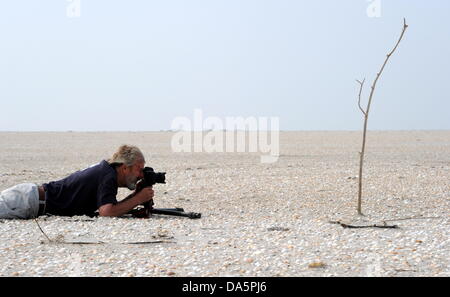 Wilfried Dunckel, Initiator einer Foto-Safari (vorne) liegt am Strand und sucht ein Motiv der Insel Norderoogsand, Deutschland, 20. Juni 2013. Foto: Carsten Rehder Stockfoto