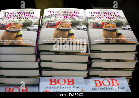 London, UK. 4. Juli 2013. Busker James Bowen und seine Street Katze namens Bob startete ihre dritte Buch heute Abend in London. Sie hoffen, dass die Welt nach Bob den Erfolg von ihrer ersten wiederholen wird, die über 700.000 Exemplare in Großbritannien verkauft und erscheint jetzt auf der ganzen Welt. Es war eine lange Schlange, die von außen Waterstone in Islington heute zu treffen das berühmte Duo und Exemplare signiert. Bildnachweis: Jeffrey Blackler/Alamy Live-Nachrichten Stockfoto