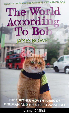 London, UK. 4. Juli 2013. Busker James Bowen und seine Street Katze namens Bob startete ihre dritte Buch heute Abend in London. Sie hoffen, dass die Welt nach Bob den Erfolg von ihrer ersten wiederholen wird, die über 700.000 Exemplare in Großbritannien verkauft und erscheint jetzt auf der ganzen Welt. Es war eine lange Schlange, die von außen Waterstone in Islington heute zu treffen das berühmte Duo und Exemplare signiert. Bildnachweis: Jeffrey Blackler/Alamy Live-Nachrichten Stockfoto