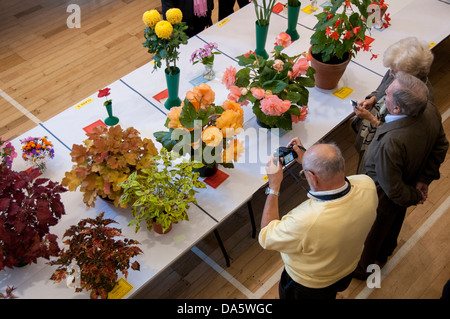 Menschen sehen Schöne Topf Pflanzen und bunten Blumen auf den Tischen im Wettbewerb - Gärtner zeigen, Burley-in-Wharfedale, Yorkshire, England, UK angezeigt. Stockfoto