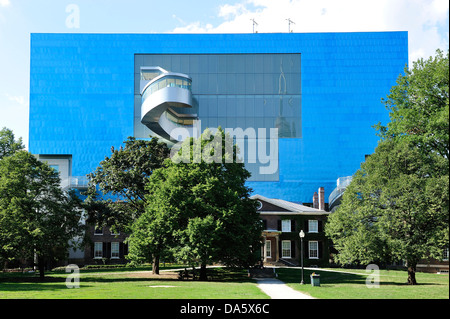 Art Gallery, Kanada, Grange Park, Ontario, Toronto, Bäume, Architektur, Kunst, Gebäude, Stadt, Stadtbild, Kultur, Kultur, Tag, Stockfoto