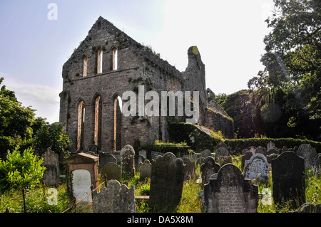 Ruinen von greyabbey Zisterzienserabtei - Kloster Stockfoto