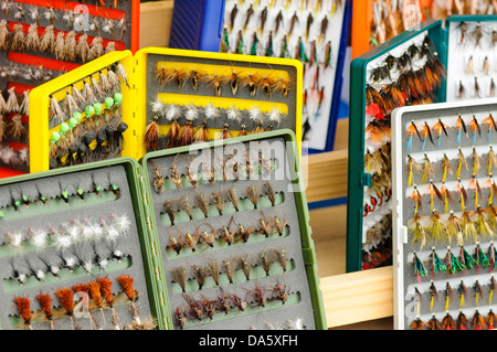 Schachteln von Forellen angeln Fliegen Stockfoto