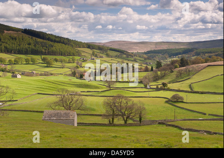 Unter dramatischen blauer Himmel, malerischen Blick auf Wharfedale (isolierten Scheunen & grünen Weide in sonnendurchfluteten Tal) - Yorkshire Dales, England, Großbritannien Stockfoto
