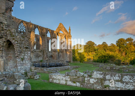 Unter blauen Himmel, Blick auf die sonnendurchflutete, alten, malerischen monastischen Ruinen von Bolton Abbey (Priorat) in der malerischen Landschaft - Yorkshire Dales, England, Großbritannien Stockfoto