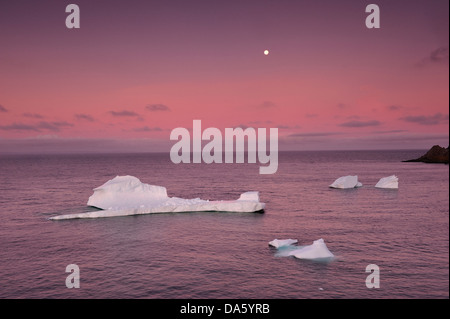 Eisberge, Eisberg, Crow Schwimmkopf, Twillingate, Neufundland, Kanada, Sonnenuntergang, Eis, Natur Stockfoto