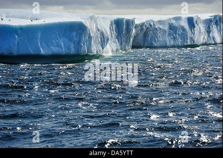 Eisberge, Eisberg, schwimmend, Krähe, Kopf, Twillingate, Neufundland, Kanada, Eis, Natur Stockfoto