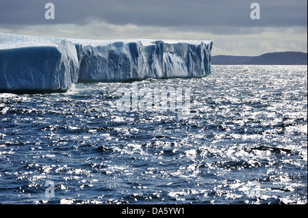 Eisberge, Eisberg, schwimmend, Krähe, Kopf, Twillingate, Neufundland, Kanada, Eis, Natur Stockfoto