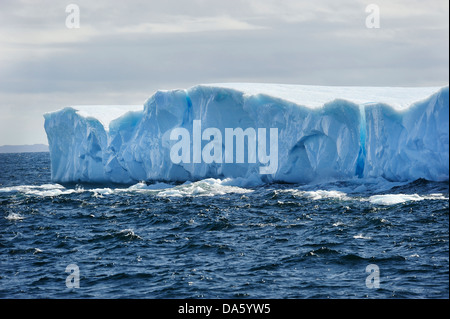 Eisberge, Eisberg, schwimmend, Krähe, Kopf, Twillingate, Neufundland, Kanada, Eis, Natur Stockfoto