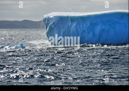 Eisberge, Eisberg, schwimmend, Krähe, Kopf, Twillingate, Neufundland, Kanada, Eis, Natur Stockfoto