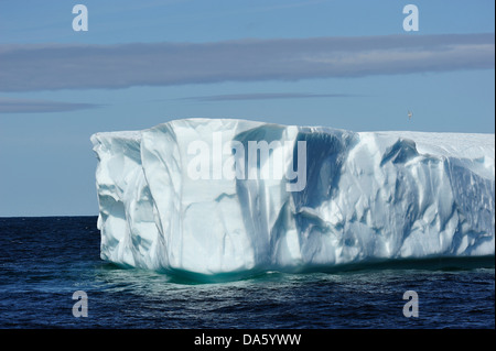 Eisberge, Eisberg, schwimmend, Krähe, Kopf, Twillingate, Neufundland, Kanada, Eis, Natur Stockfoto