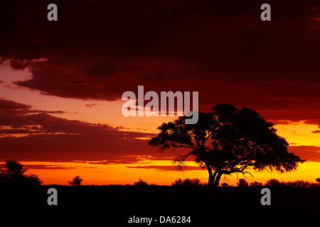 Blick von Okaukuejo Rest Camp bei Sonnenuntergang, Etosha Nationalpark, Namibia, Afrika Stockfoto