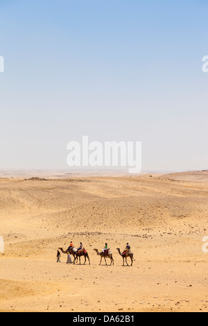 Kamel Zug in der Wüste von Gizeh, Kairo, Ägypten Stockfoto