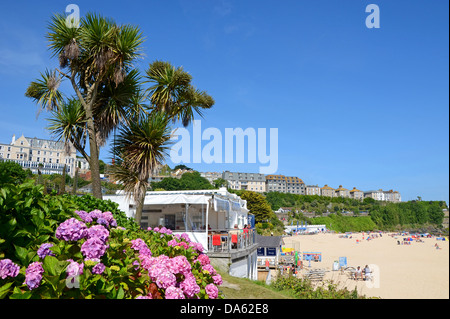 Das Café mit Blick auf Porthminster Strand in st.ives, Cornwall, uk Stockfoto