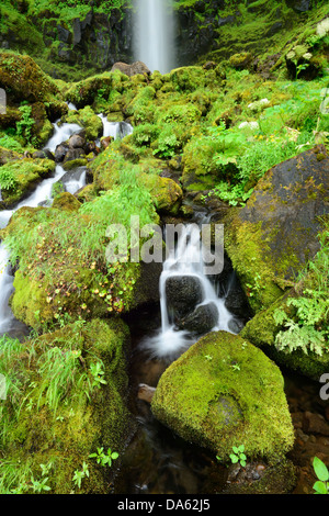 Watson Falls, Oregon, Roseburg, Oregon, USA, USA, Amerika, Wasser, Wasserfall, grün, Natur, Landschaft, Stockfoto