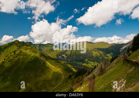 Schnee stoppt, Wallmendingerhorn, Allgäu, Alpen, Vorarlberg, Österreich, Europa, Lawinenschutz, Lawinenverbauung, Schutz Stockfoto