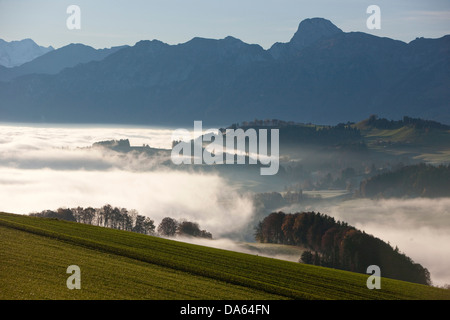 Nebelmeer, Nebel, Gürbetal, BE, Stockhorn, Herbst, Kanton Bern, Berner Alpen, Berner Oberland, Sonnenaufgang, der Schweiz, Europa, G Stockfoto