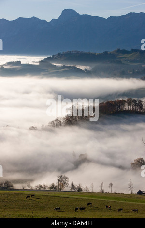 Nebelmeer, Nebel, Gürbetal, BE, Stockhorn, Herbst, Kanton Bern, Berner Alpen, Berner Oberland, Sonnenaufgang, der Schweiz, Europa, Stockfoto