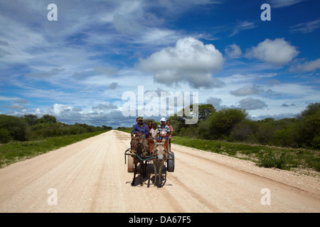 Familie auf Eselskarren, C44 Straße nach Tsumkwe, Namibia, Afrika Stockfoto