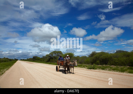 Familie auf Eselskarren, C44 Straße nach Tsumkwe, Namibia, Afrika Stockfoto