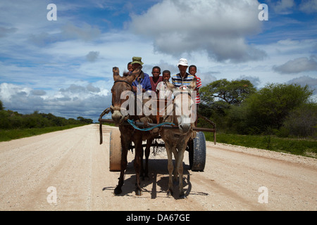 Familie auf Eselskarren, C44 Straße nach Tsumkwe, Namibia, Afrika Stockfoto