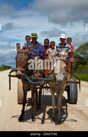 Familie auf Eselskarren, C44 Straße nach Tsumkwe, Namibia, Afrika Stockfoto