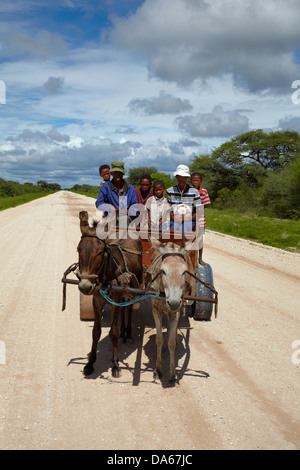 Familie auf Eselskarren, C44 Straße nach Tsumkwe, Namibia, Afrika Stockfoto