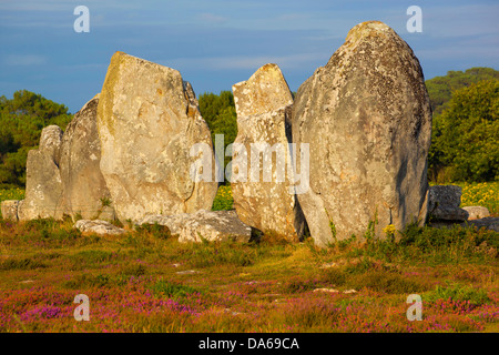 Alignements de Kermario, Kermario, Carnac, Menhir, Frankreich, Europa, Bretagne, Departement Morbihan, Steinreihen, Megalithen, Steinen, Stockfoto