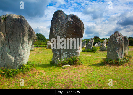 Alignements de Kerzerho, Kerzerho, Menhir, Frankreich, Europa, Bretagne, Departement Morbihan, Steinreihen, Megalithen, Steinen, Kultur Stockfoto