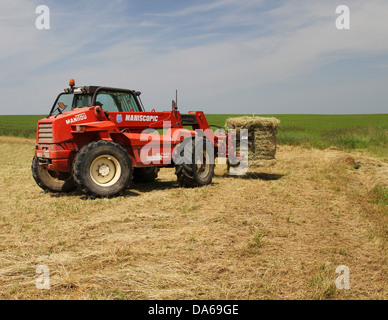 Manitou Maniscopic MLT628 vier Rad fahren Gabelstapler Traktor laden Heuballen auf einen Anhänger auf einem französischen Bauernhof Stockfoto