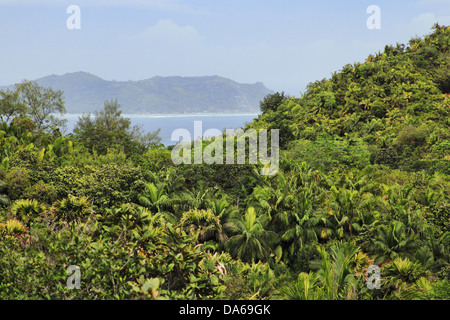 Landschaft der Seychellen - Insel Praslin Stockfoto