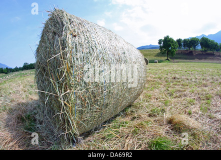 frisch geschnitten Sie Heuballen in einem Lager in den Bergen Stockfoto