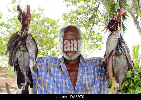 Fischhändler auf den Seychellen Stockfoto