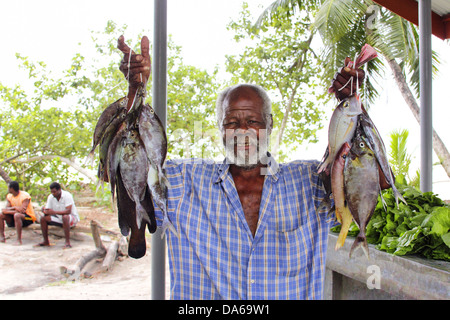 Fischhändler auf den Seychellen Stockfoto