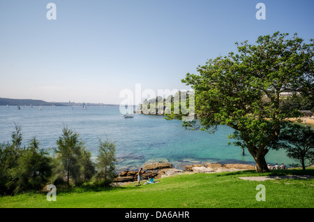 Petersilie-Bay in Sydney Cove und Rasenflächen Park. Stockfoto