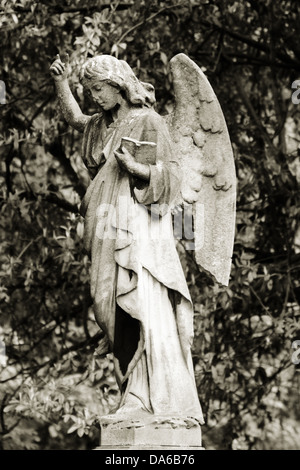 Engel mit Buch Stockfoto