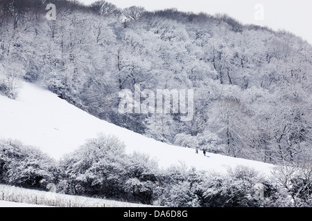 Wald- und Ackerland im Schnee bei Minterne Magna, Land bei Sherborne, Dorset, Großbritannien. Stockfoto