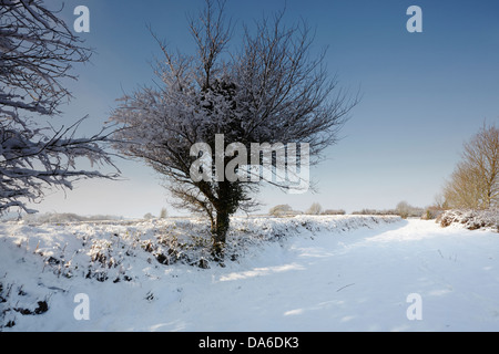 Eine verschneite Szene auf dem Land in der Nähe von Okehampton, am Rande von Dartmoor, in Devon, Großbritannien. Stockfoto