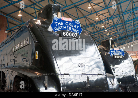 Große Sammlung von A4 Klasse Dampflokomotiven im National Railway Museum York Stockfoto