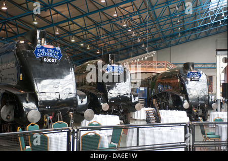 Große Sammlung von A4 Klasse Dampflokomotiven im National Railway Museum York Stockfoto