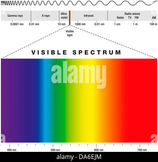 Elektromagnetischen Spektrums und sichtbarem Licht Stockfoto